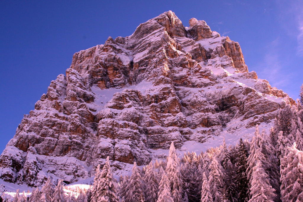 Rifugio Passo Staulanza Hotel Zoldo Alto Exterior photo